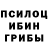 Псилоцибиновые грибы Psilocybine cubensis Kate Evans