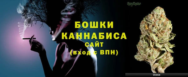 твердый Гусев