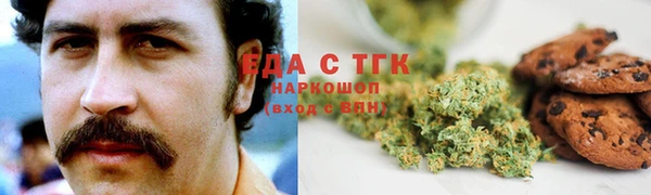 твердый Гусев