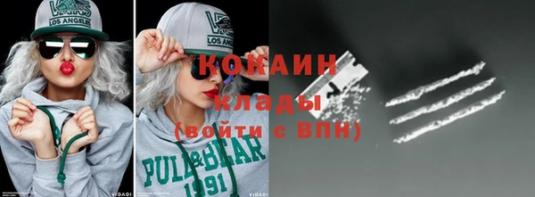 твердый Гусев