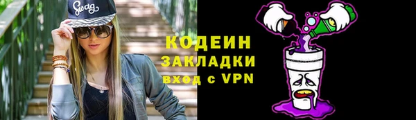 твердый Гусев