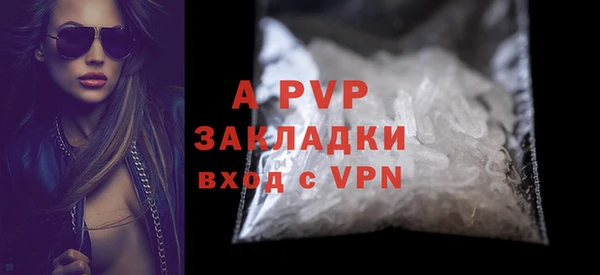 твердый Гусев