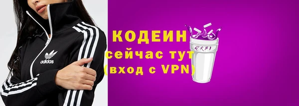 твердый Гусев