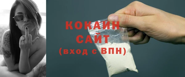 твердый Гусев