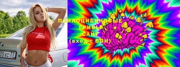 метадон Гусиноозёрск