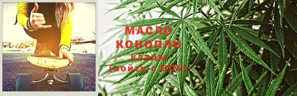 прущие крисы Горняк