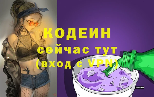 твердый Гусев