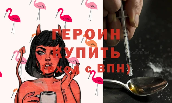 твердый Гусев