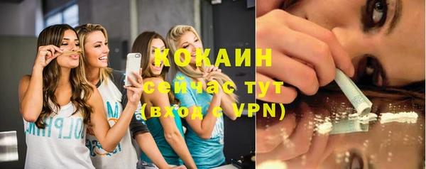 твердый Гусев