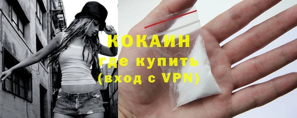 твердый Гусев