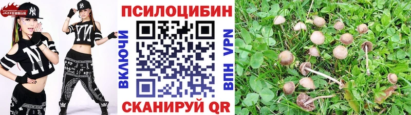 наркота  KRAKEN как зайти  Псилоцибиновые грибы Psilocybe  Михайлов 