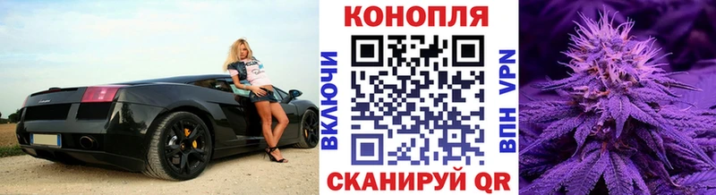 Бошки марихуана THC 21%  продажа наркотиков  Михайлов 